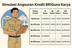 Tabel Perbandingan Pinjaman Flexi BNI vs BRIGUNA BRI untuk PNS dan PPPK: Mana yang Lebih Menguntungkan?