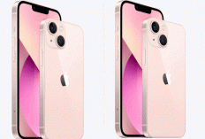 iPhone 13 Masih Jadi 'Sweet Spo't Spek Gahar dengan Desain Elegan di Tahun Ini