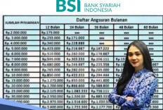 Bank BSI Berikan  Pinjaman Tanpa Agunan untuk Guru Pemilik Serdik, Ini Tabel Cicilannya 