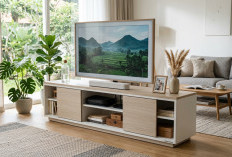 Sentuhan Estetik Japandi: Mengapa Rak TV Heim Studio Jadi Favorit Rumah Minimalis?
