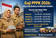Rincian Gaji PPPK 2026 Berdasarkan Golongan