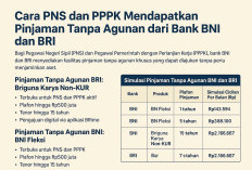 Cara Mendapatkan Pinjaman Tanpa Agunan dari Bank BNI dan BRI Bagi PNS dan PPPK 