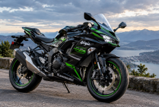 Harga Kawasaki Ninja 2026 Terbaru, Simak Perbedaan Ninja 250, ZX-25R, dan ZX-4RR