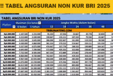 Pinjaman Non KUR BRI 2025: Modal Cepat Rp 10 hingga 100 Juta Tanpa Ribet!