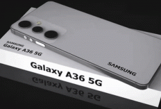 Samsung Galaxy A36 Resmi Hadir: Layar Super AMOLED, Baterai 5000 mAh, dan AI Cerdas untuk Pengalaman Maksimal