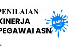 Jawab Single Salary: Menpan RB Beberkan Skema Total Reward PNS PPPK, Ini Daftar Kinerja yang Jadi Penilaian