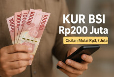 Cicilan KUR BSI Rp200 Juta Cuma Rp3,7 Jutaan, Ini Rincian Lengkapnya