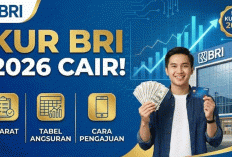 Jangan Sampai Ditolak! Panduan Lengkap Pengajuan KUR BRI 2026 untuk Pemula agar Cepat ACC