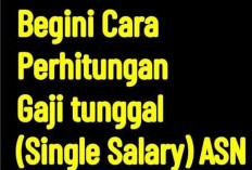Cara Menghitung Gaji ASN Dalam Skema Single Salary, Baka Berlaku 2026? 