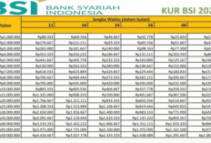 KUR BSI 2025 Resmi: Pinjaman Modal Usaha Syariah 100 Juta Tanpa Agunan, Margin Super Ringan 6%!
