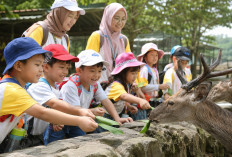 Liburan Keluarga Anti Bosan, Jelajahi 5 Wisata Edukasi Paling Hits di Bogor 