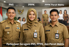Perbedaan Seragam PNS, PPPK, dan PPPK Paruh Waktu 2026