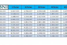 Cicilan Mulai Rp 1 Jutaan, BNI Tawarkan Pinjaman Fleksi Khusus Guru PPPK
