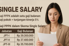 Inilah Rentang Gaji PPPK Jika Wacana Skema Single Salary Berjalan 2026