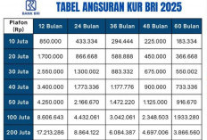 5 Bank Penyedia Pinjaman KUR Tanpa Agunan dengan Bunga Rendah dan Terpercaya 2025, Ada BRI dan Mandiri Lho!