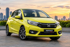 Honda Brio untuk Harian, Kenali Spesifikasi dan Kisaran Harganya