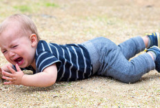 Anak Tantrum? Jangan Panik, Ini Langkah yang Disarankan Psikolog