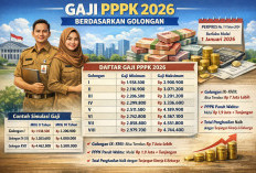 Resmi, Ini Besaran Gaji PPPK Tahun 2026