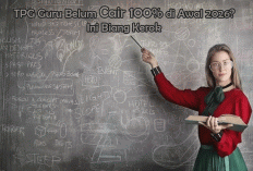 TPG Guru Belum Cair 100% di Awal 2026? Ini Biang Kerok Sebenarnya di Balik Keterlambatan