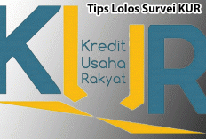 Kabar Gembira Awal November 2025: KUR Masih Dibuka! Begini Syarat, Tips Lolos Survei, dan Jenis Jaminannya