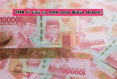 THR & Gaji 13 ASN 2026 Bikin Heboh! PNS dan PPPK Full Senyum, Paruh Waktu Cuma Sebagian?