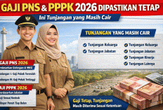 Resmi! Gaji PNS dan PPPK 2026 Dipastikan Tetap, Ini Tunjangan yang Masih Cair