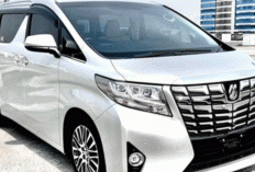 ​Masih Jadi Raja Jalanan, Ini Alasan Toyota Alphard 2017 Bekas Tetap Jadi Incaran Sultan!