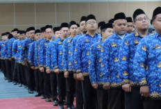 PPPK Paruh Waktu Tetap Bisa Ikut CPNS 2026, Ini Syarat dan Ketentuan Lengkapnya