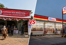 Kopdes Merah Putih vs Alfamart, Benarkah Persaingan Minimarket Baru Dimulai?