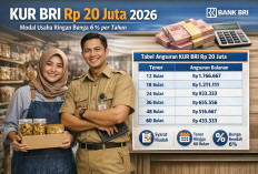 Pinjaman KUR BRI Rp20 Juta 2026: Solusi Modal UMKM dengan Cicilan Ringan dan Tenor Panjang