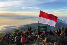 Hari Kemerdekaan Jadi Momen Favorit, Ribuan Pendaki Ramaikan Jalur Gunung