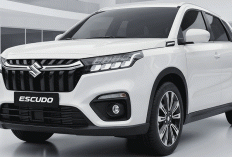 Suzuki Escudo 2026 Mulai Terkuak: SUV Legendaris Siap Guncang Creta & Seltos?