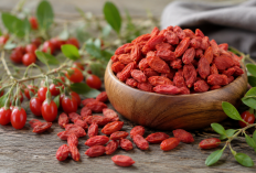Goji Berry Makin Populer, Buah Kecil dengan Manfaat Besar