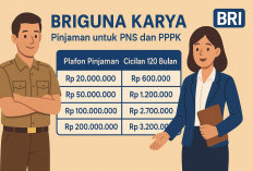 BRI Tawarkan Pinjaman Tanpa Agunan Bagi PNS dan PPPK, Ini Tabel Cicilannya