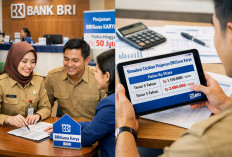 Tabel Pinjaman Non KUR BRI BRIGuna Karya: Solusi Dana Cepat Pegawai 2026, Plafon Rp50 Juta
