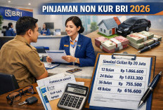Tabel Pinjaman Non KUR Bank Rakyat Indonesia Plafon Rp20 Juta 2026: Simulasi Cicilan & Syarat Terbaru
