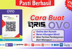 10 Menit Langsung Jadi! Cara Membuat QRIS OVO untuk Semua Pembayaran (Langkah Demi Langkah)