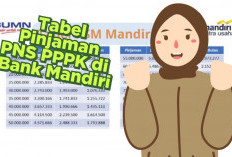 Pinjaman PNS dan PPPK di Bank Mandiri April 2026: Syarat, Skema, dan Estimasi