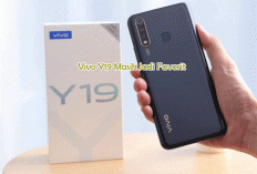 Vivo Y19 Masih Jadi Favorit! HP Terlaris dengan Layar Besar, Baterai Jumbo, dan Harga Bersahabat