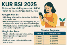 KUR BSI 2025: Pinjaman Syariah Ringan untuk UMKM, Plafon Rp 10 Juta hingga Rp 500 Juta