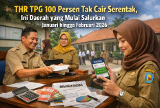 THR TPG 100 Persen Tak Cair Serentak, Ini Daerah yang Salurkan Januari hingga Februari 2026