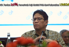 KUR 2026 Kritis! NPL Tembus 10%, Pemerintah Kaji Akuisisi PNM demi Selamatkan UMKM