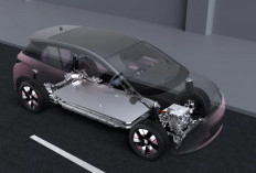 Promo Early Bird BYD Atto 3 dan Dolphin Maret 2026: Gratis Asuransi hingga 3 Tahun, DP dan Cicilan Ringan 