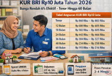 Tabel KUR BRI Maret 2026 Resmi Rilis, Bunga 6 Persen dan Plafon hingga Rp500 Juta