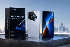 TECNO POVA 8 Pro 5G Resmi di Indonesia, Bawa AMOLED 144Hz dan Baterai 6.500 mAh.