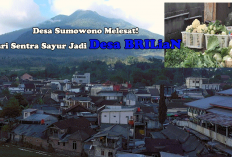 Desa Sumowono Melesat! Dari Sentra Sayur Jadi Desa BRILiaN Berkat Inovasi dan Dukungan BRI