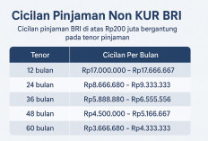 Pinjaman Non KUR BRI Hingga Rp500 Juta: Syarat, Cicilan, dan Cara Pengajuannya