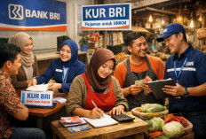 Cicilan Cuma Ratusan Ribu, KUR BRI Desember 2025 Plafon Rp5 Juta: Solusi Pinjaman Modal Ringan untuk UMKM
