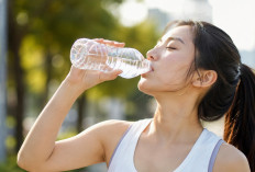 Jangan Sepelekan! Minum Air Cukup Setiap Hari Ternyata Menyelamatkan Kesehatan