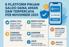 6 Platform Pinjam Saldo DANA Aman dan Terpercaya per November 2025